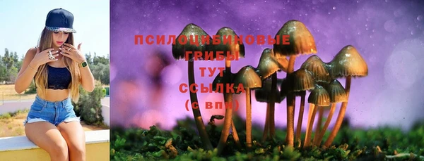 дживик Балабаново