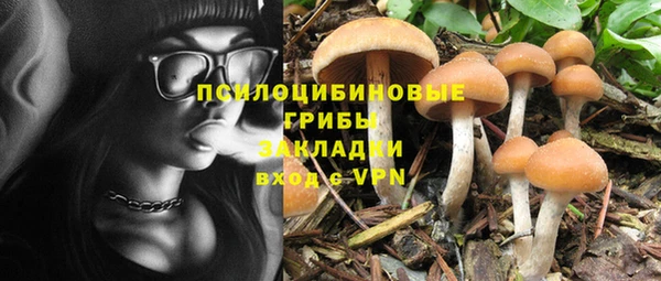 дживик Балабаново