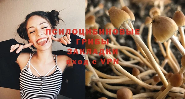 спайс Баксан