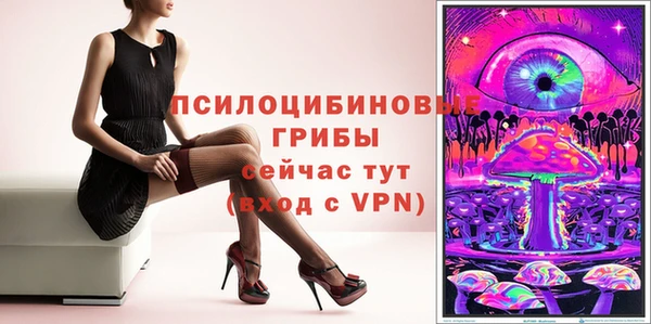 спайс Баксан