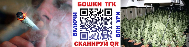 Бошки Шишки планчик Салаир